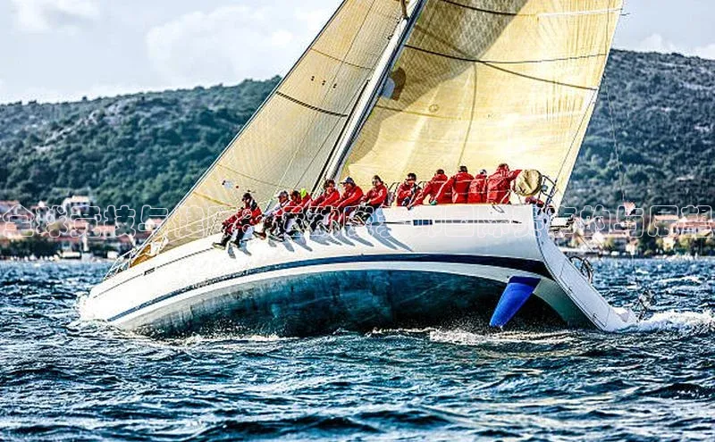 伟德国际1946bv官网小红书全球竞技与健康：运动康复师国际赛事的与展望