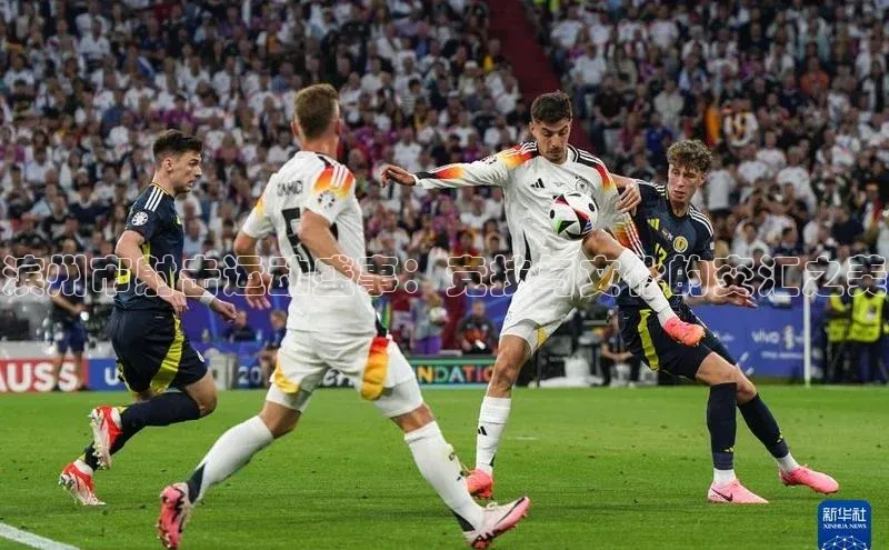 滨州市射击运动盛事：竞技与文化的交汇之美