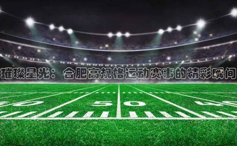 璀璨星光：合肥高规格运动赛事的精彩瞬间