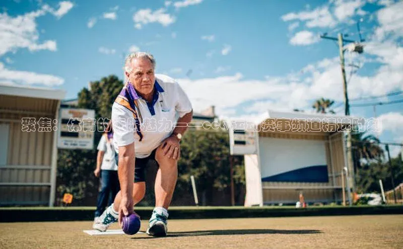 聚焦：体育的无限魅力——cctv运动赛事频道精选时刻