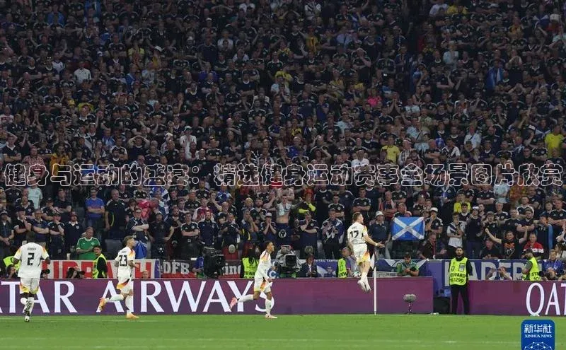 健身与运动的盛宴：精选健身运动赛事全场景图片欣赏