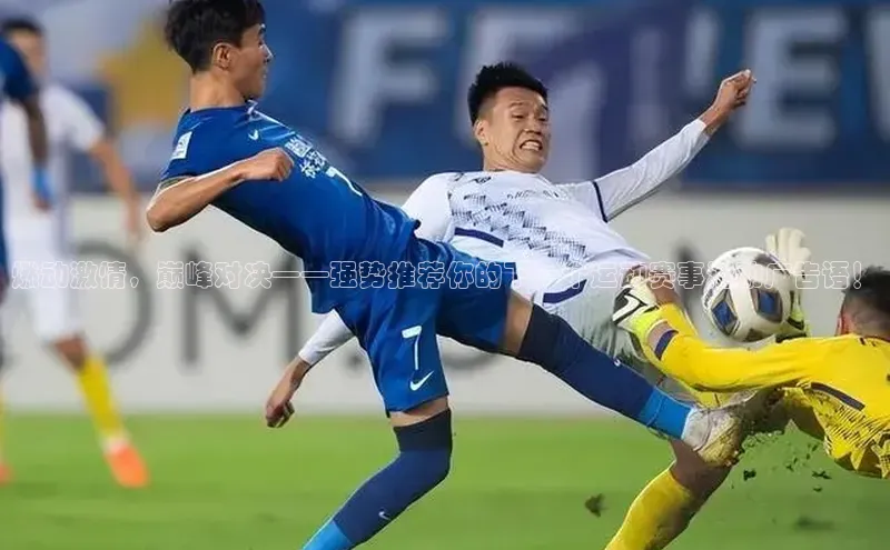 伟德bevictor中文版