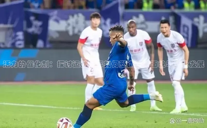 伟德bevictor中文版