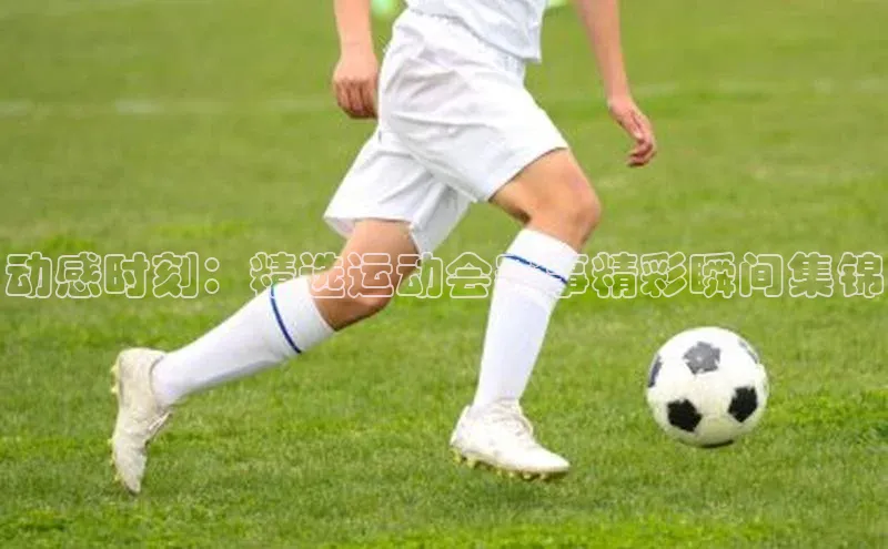 BETVICTOR伟德官网