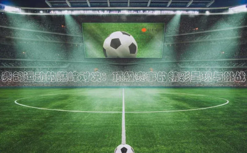 赛鸽运动的巅峰对决：顶级赛事的精彩呈现与挑战