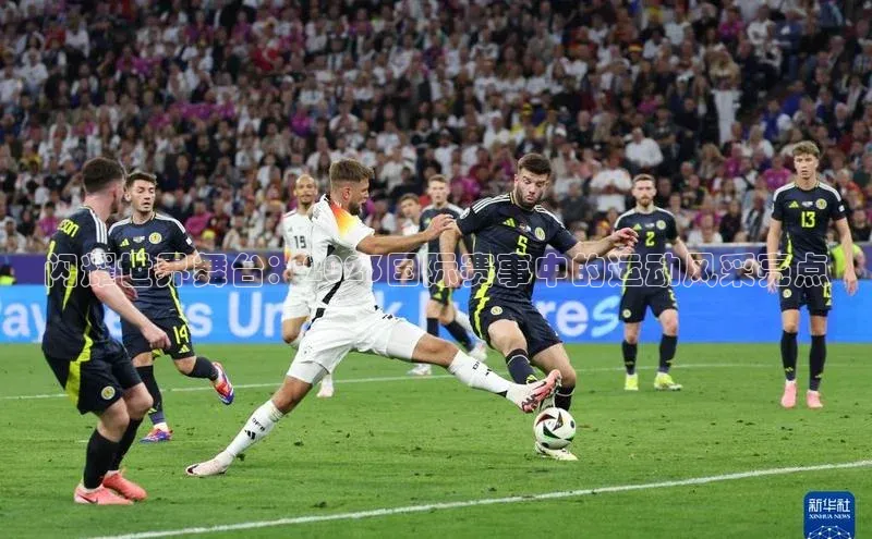 闪耀世界舞台：2023国际赛事中的运动风采亮点