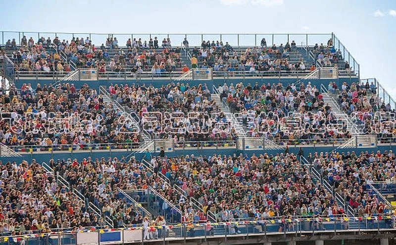 飞跃巅峰：公司运动赛事的卓越与激情