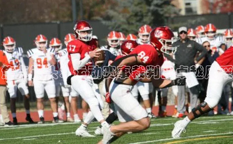 焦点镜头：运动赛事裁判的卓越风采