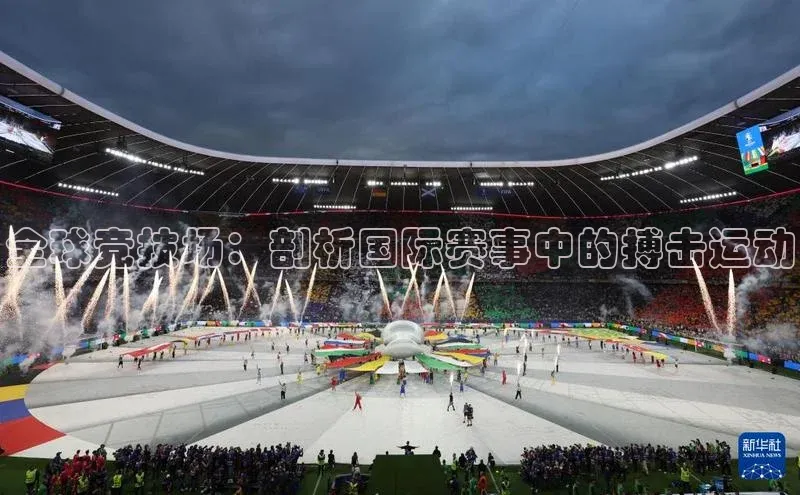 全球竞技场：剖析国际赛事中的搏击运动