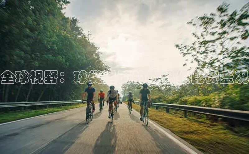 全球视野：球类运动的世界级比赛盛况