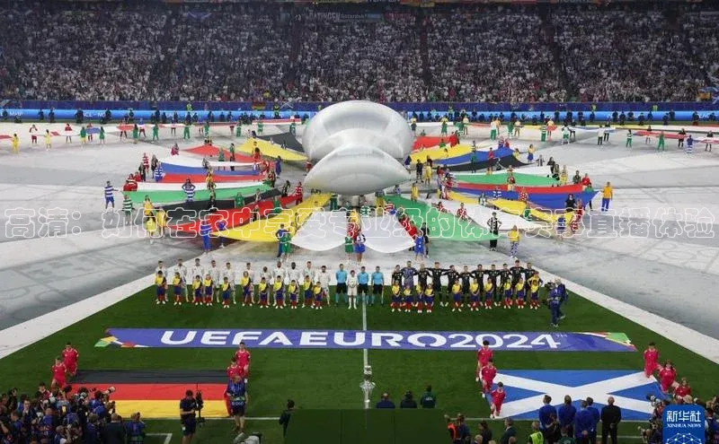 高清：如何在家中享受专业级的体育赛事直播体验