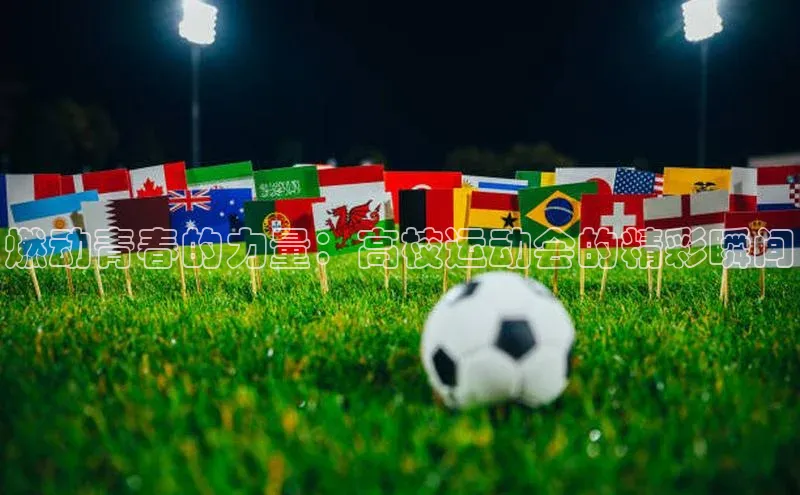 燃动青春的力量：高校运动会的精彩瞬间