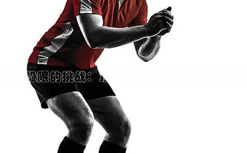 超越极限的挑战：顶级体育赛事的魅力与激情